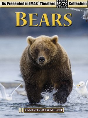cover image of Bears